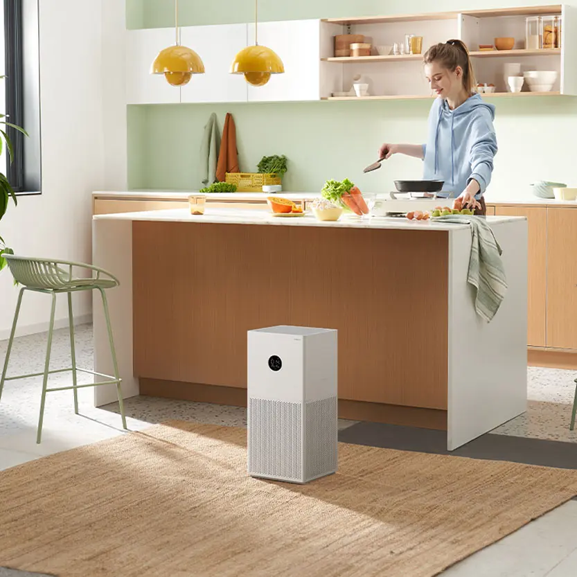 Air purifier EU2.webp
