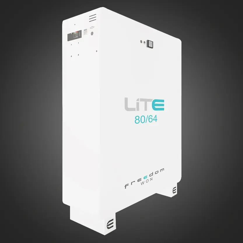 Freedom Won Lite Business 80/64 Battery LV  