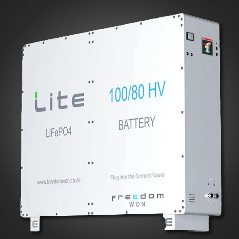 Freedom Won Lite Business 100/80 HV 