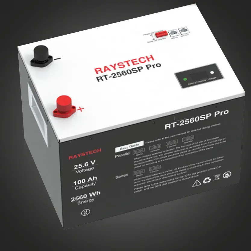 Raystech 24V 100ah LifePO4 Battery