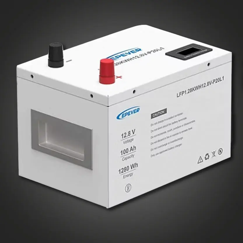 Raystech/Epever 12.8V 100ah LifePO4 Battery