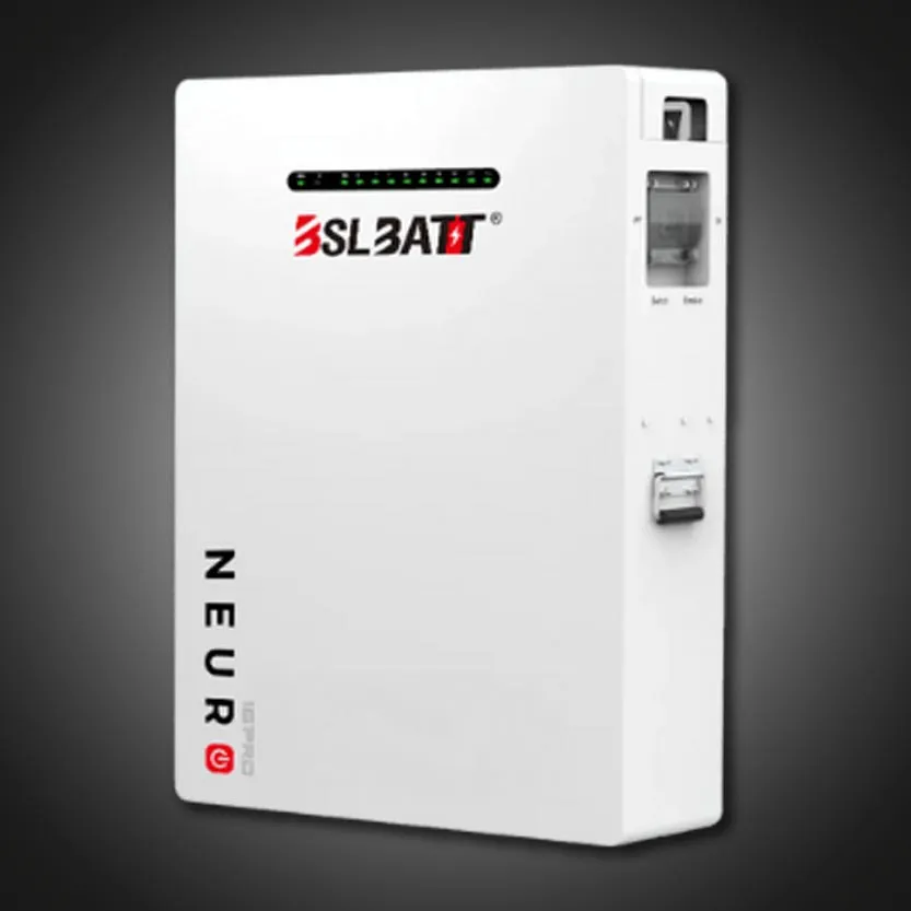 BSL Battery Neuro 16 Pro + IP65 51.2V 314ah Wall Mount