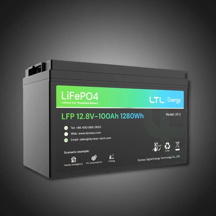 Dyness 12V 100ah LifePO4